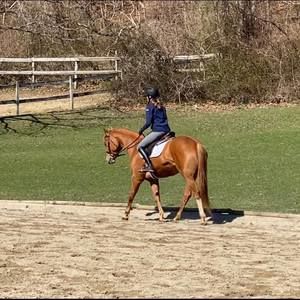 Meet your Posher, Natalie